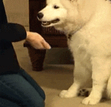 姐姐|最喜欢你这种怎样都觉得美美的小姐姐了。