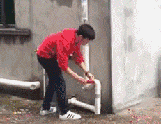 这是|这一波操作我给满分