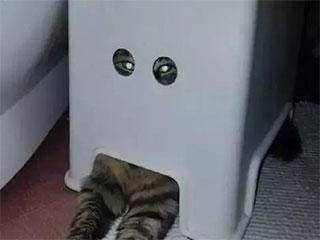 战术性|搞笑GIF:车白也是一种错吗！