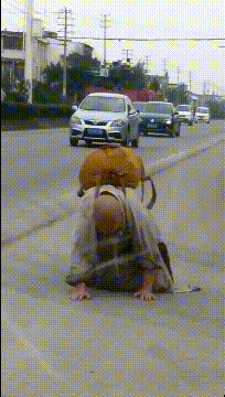 还是|搞笑gif趣图: 难道我平时给你的肉肉还不够你吃的?还是你想尝点新鲜的?