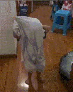 媳妇|搞笑段子:文明你我他,幸福千万家