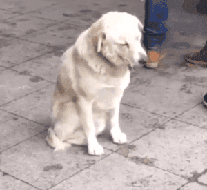 妹子|爆笑GIF图: 想搞事是吧,喝水去吧你