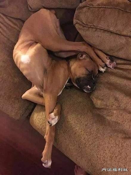 学弟|某大学的学长迫不及待的期盼新学弟到来