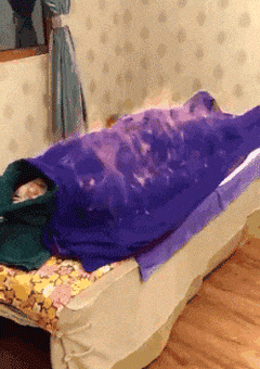 火龙果|搞笑GIF: 主人我没吃火龙果，你要相信我！！