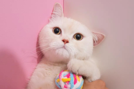 大妈|大妈:“我女儿谈了个男朋友,说就是这个宿舍的,只要不是你我就放心了”