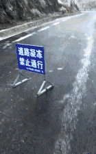 搞笑图片|搞笑图片：南方大雪，最开心的竟然是这群猪~