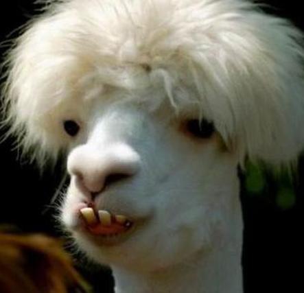 手机|搞笑段子图片：我的手机屏幕现在设置成贞子了，吓不死你！