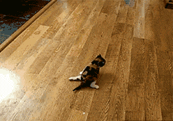 还是|搞笑GIF:小时候最害怕的事情最后还是发生了