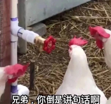 乞丐|爆笑段子:有一个朋友是个妹子,天天熬夜打游戏!