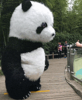 姑娘|搞笑GIF: 这是姑娘结婚要的“五金”吗?