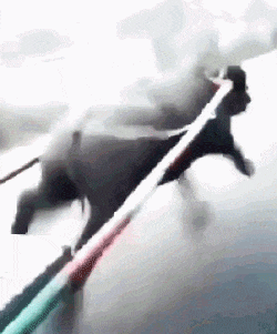 车速|搞笑动态图Gif:外国人真的很作，没掉下来，有点失望