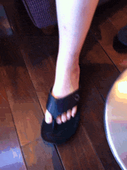 蜻蜓|搞笑GIF:飞行不规范,蜻蜓两行泪