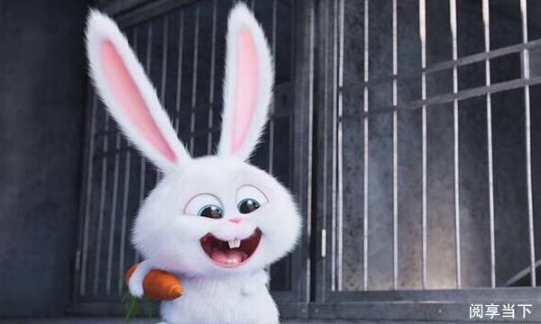 女人|很逗很搞笑的说说，但精辟富有哲理！（很值得一读）