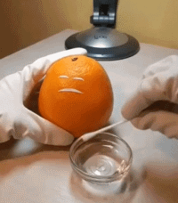 开锁|搞笑GIF: 一条美人鱼正在向你游来~