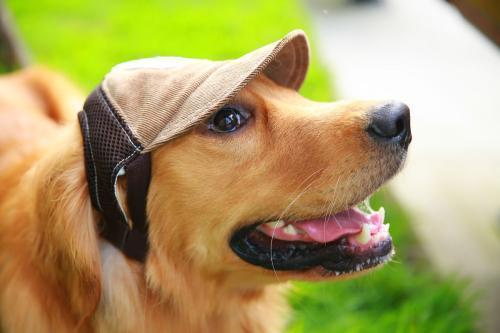 老婆|开心一刻:昨天,我下班坐公交车回家。