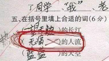 妹子|公司刚招聘的妹子，一下子成为了办公室所有的焦点