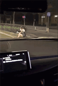 蘑菇|搞笑GIF动图:姑娘,你为了这点蘑菇,搞成这样鸟样子,不值呀