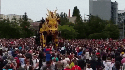 妹子|搞笑GIF：孩子你这顿操作，让牛顿很没面子！