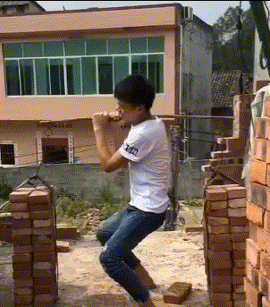 铁柱|搞笑GIF：温顺的二哈