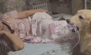 小明|搞笑GIF动图:主人,你的手机防水功能挺好的啊