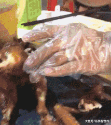 大哥|搞笑GIF趣图:瘦不一定是美的,微胖才是最美的