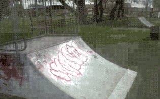 民间|搞笑动态图GIF: 惊弓之猫,这些猫真是白养了