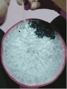 两个|【搞笑】:看见远处那个美女没有?那是我小姨,也是一只单身狗!