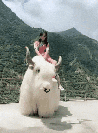 这是|搞笑GIF:这是什么神兽?