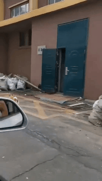 情况|搞笑GIF：这什么情况，怎么这么多鱼？