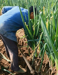 老娘|搞笑GIF:这才是真正的老娘出马,一个顶两!