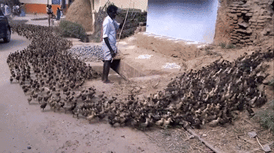 后坐力|GIF搞笑趣图:我看你举的是不是假的啊!看你很轻松的样子!