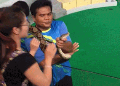 大妈|搞笑gif趣图:让你没事戳狗斗猫,这下赔大发了吧!