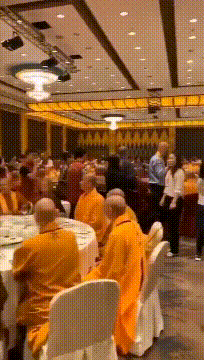 士奇|搞笑gif趣图:啥意思,趁我不能移动欺负我是不