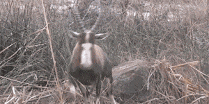 女朋友|惹女朋友不高兴会怎样? 下场太惨了！
