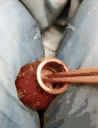 迪拜|爸妈吵架时 中间试图拉架的我如同这辆蓝车!