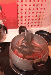 中经|搞笑GIF:妹纸怎么突然害羞了,搞的我都不好意思了!