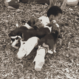 威士忌|大哥我怎么感觉你不是来洗头的