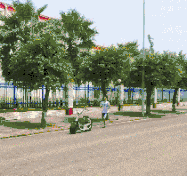 媳妇|搞笑段子:文明你我他,幸福千万家