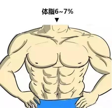 腹肌|9个动作把体脂率减到可以看见六块腹肌？