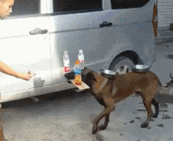 上水|搞笑GIF:新买的鞋子,绝对不能让它沾上水!