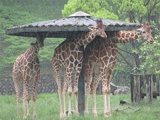 屁股|健身地方选的有点不合适，屁股可能会有点痛
