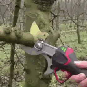 凉亭|搞笑gif趣图：从小就得让他好好练舌头，一年后必有大用