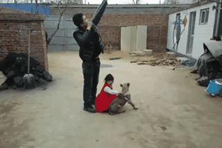 可怕|搞笑GIF:这是发生了什么?怎么这么可怕呢?