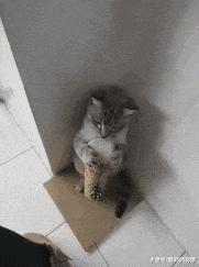 班主任|大叔用的什么牌子的洗发膏, 头发如此飘逸