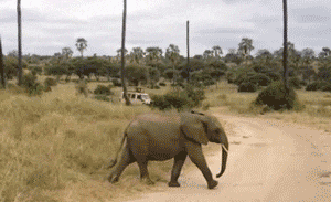 妹子|搞笑GIF趣图:这种做,家里也可以健身