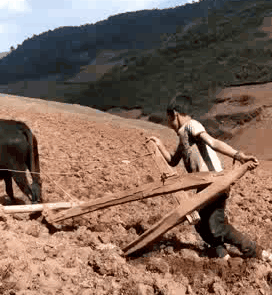 妹子|搞笑gif趣图：这一定是妹子最终身难忘的一次理发！