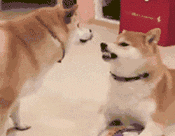 妹子|搞笑GIF：身材好就是任性 不服你来试试呀