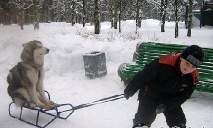 小赵|搞笑段子：遇到这样的女司机，谁还敢来坐你的车