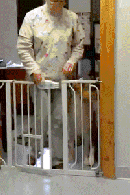 着急|爆笑GIF图：你说你那么着急干什么，我又没说不让你吃。