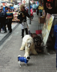 这是|爆笑GIF图：这是一个灵活的胖子，太活泼了吧，哈哈